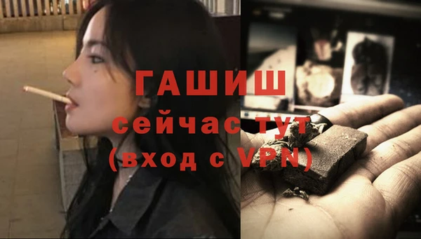 spice Каменка
