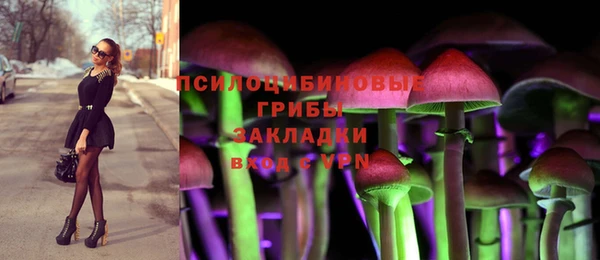 spice Каменка