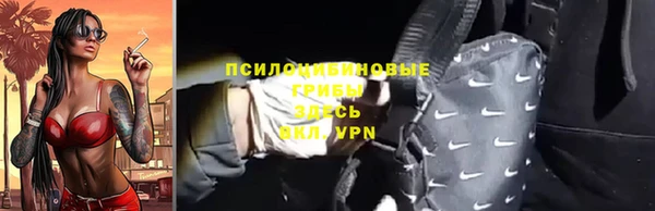 spice Каменка