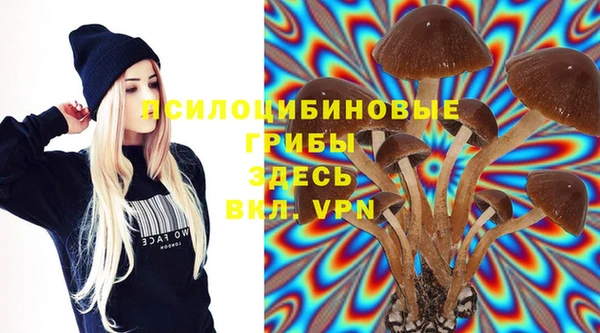 spice Каменка