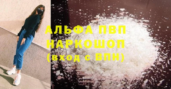 spice Каменка