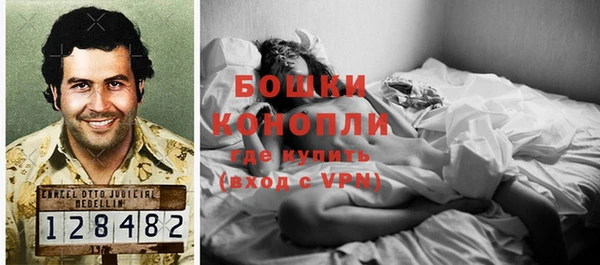 PSILOCYBIN Каменск-Шахтинский