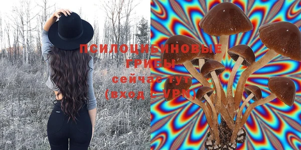 каннабис Каменногорск