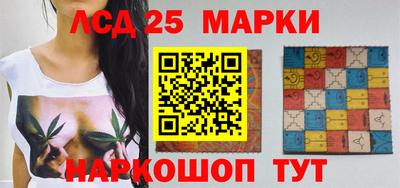 спиды Обь