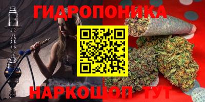 спиды Обь