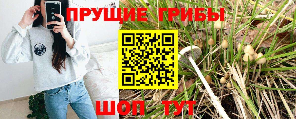 Псилоцибиновые грибы Magic Shrooms  наркотики  Набережные Челны  Вход с VPN 